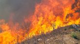 2,53 millones de euros para trabajos selvícolas preventivos contra incendios en municipios de Palencia