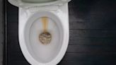 One household item remove toilet limescale without scrubbing — ‘nothing works better’