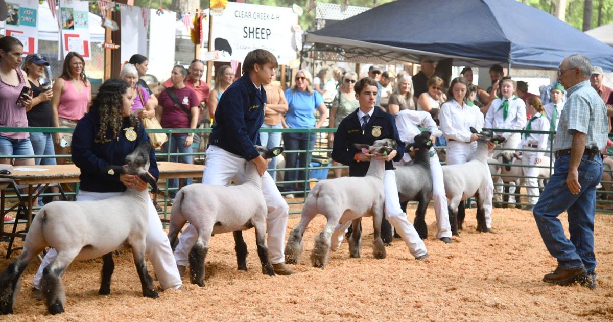 ‘It’s the circle of life’: Livestock auctions end the Fair on Sunday