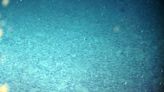 Mysterious 'dark oxygen' produced in the deep ocean by lumps of metal