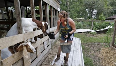 After Beryl, Houston-area farmers pull together to face unique challenges