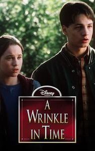A Wrinkle in Time (2003 film)