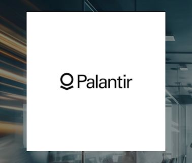 Palantir Technologies Inc. (NYSE:PLTR) Insider Heather A. Planishek Sells 10,907 Shares