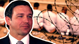 What did Ron DeSantis do in Guantanamo?