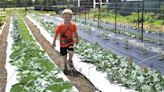 Local hospital expands farm