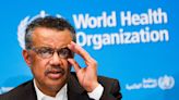 Fact check: World Health Organization is still operating in Russia