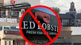 Top Alternatives To Red Lobster In Western New York