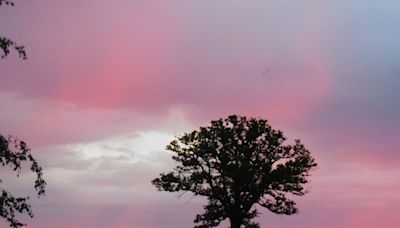 Thunder and lightning recorded in parts of Shropshire as Met Office forecasts hot and humid Monday