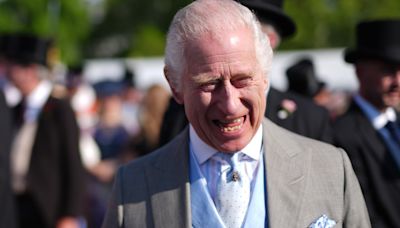 Charles becomes patron of Royal Air Force Museum