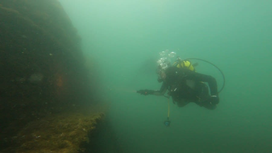 At the bottom of Lake Michigan, shipwrecks race against invasive species