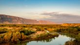 Scientist makes unthinkable discovery while exploring Texas’ Big Bend National Park: ‘Highlight of [my] career’