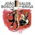 Galos de Briga