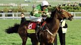 Istabraq: Three-time Champion Hurdle winner dies aged 32