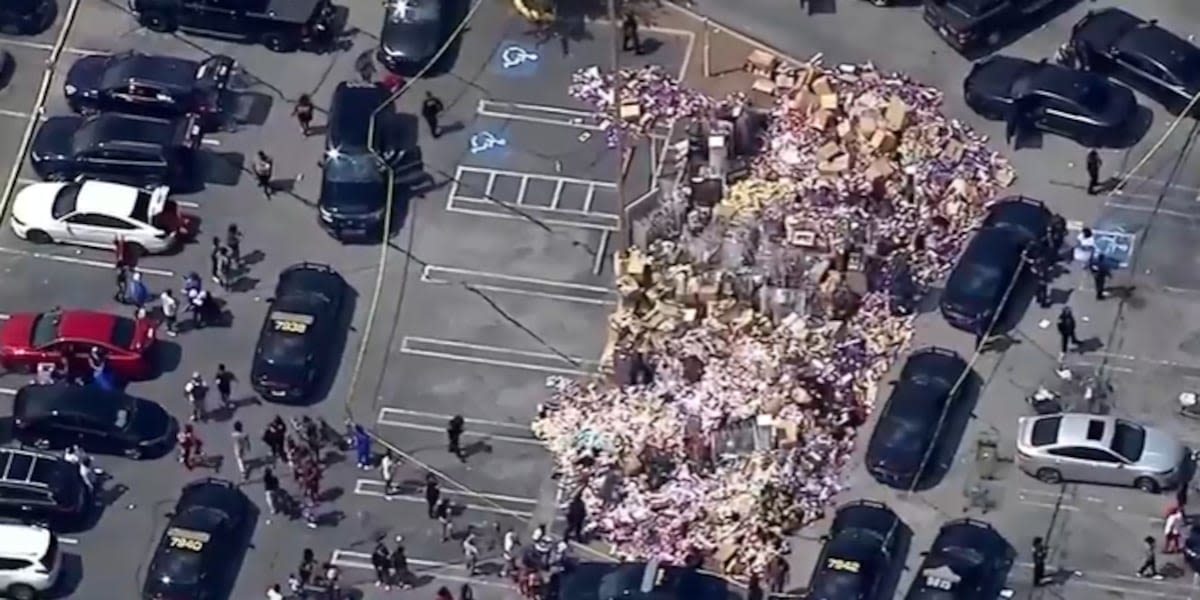 Police: Hundreds loot from Clayton County beauty supply store parking lot after eviction