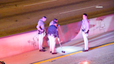 Driver flees after fatally striking pedestrian on 101 Freeway in Los Angeles