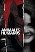 Animales humanos