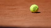 A French player at the French Open gets only a warning when his ball strikes a fan