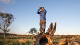 La Titina: la estancia que recibe huéspedes y tiene una reserva natural repleta de aves