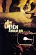 Un chien andalou - Un cane andaluso