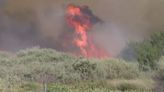 Fast-moving brush fire near 5 Freeway in Gorman burns tens of thousands of acres, forces evacuations