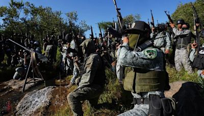 Michoacán, la joya de la corona: entre autodefensas y el CJNG