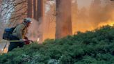 Yosemite wildfire updates: Firefighting force grows; Wawona, Mariposa Grove remain threatened