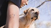 Got a tattoo you hate? PetSmart contest gives you a shot at replacing it