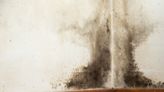 How to Get Rid of Black Mold for Good