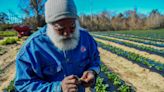 Never mind the chill, St. Helena’s barefoot farmer is still planting and picking at 74.