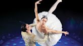 Ballet bosses hope 'epic' Swan Lake production shows importance of funding UK arts