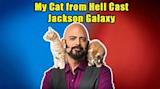 Jackson Galaxy Married Life with Wife, Minoo ... - TVShowcast