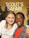 Scout's Safari