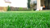 Shoppers praise £9 Amazon find that helps get 'perfect' green lawn