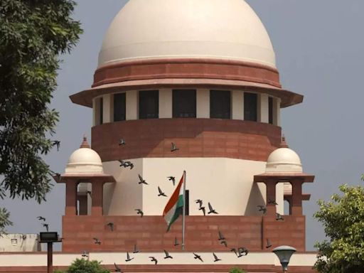 Misleading ads: Ayush ministry should set up dashboard to make details of complaints public, says SC