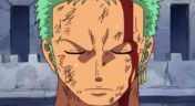 41. The Pain of My Crewmates Is My Pain Zoro's Desperate Fight