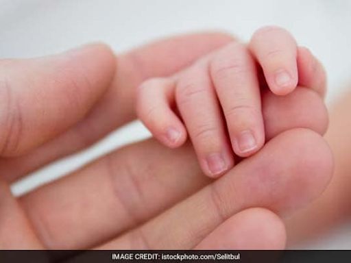 Surrogate Mothers Also Have Right To Avail Maternity Leave: High Court