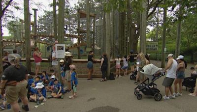 How the Toronto Zoo is celebrating its 50th birthday