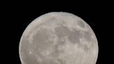 Bright ‘Buck Supermoon’ to light up July sky. Here’s when to look for it in Lexington