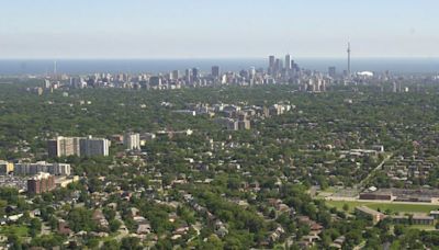 Toronto looks to expand tree canopy with planting on private land