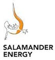Salamander Energy