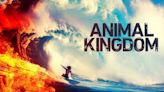 Animal Kingdom Season 4: Where to Watch and Stream Online