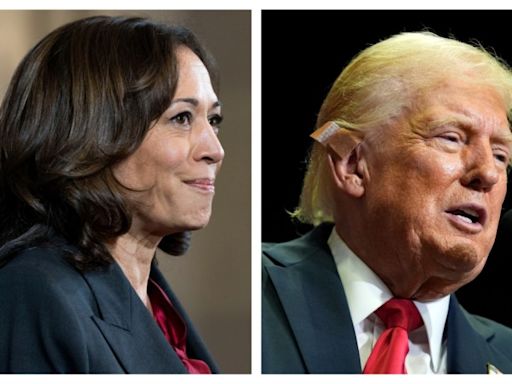 Trump pollster predicts ‘Harris honeymoon’ in upcoming polls