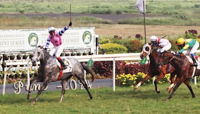 Narredu Dynasty Shines, Touch Of Grey Triumphs In HPSL Indian St. Leger