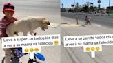 Día de las Madres: perrito es llevado por un niño todos los días a visitar a su mamá perruna ya fallecida