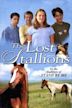 The Lost Stallions