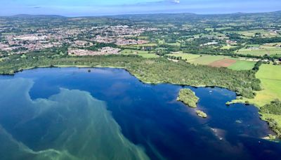 The Earth's Corr: The Northern Ireland Executive has failed Lough Neagh spectacularly