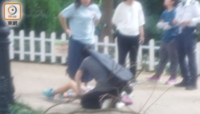 香港公園樹枝折斷墮下 11歲男童頭背被擊傷送院