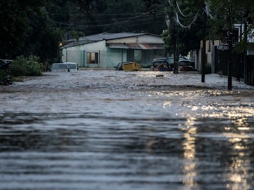 Rio Grande do Sul registra 15 mortes e 242 casos de leptospirose