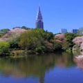 Shinjuku Gyo-en