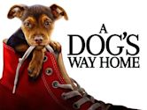 A Dog's Way Home